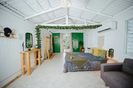 Cozy cabin with hot water jacuzzi and AC in the mountains of Guayama.