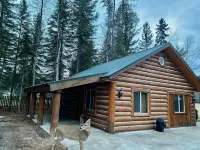 Quaint cabin in the woods Hotels in Bigfork