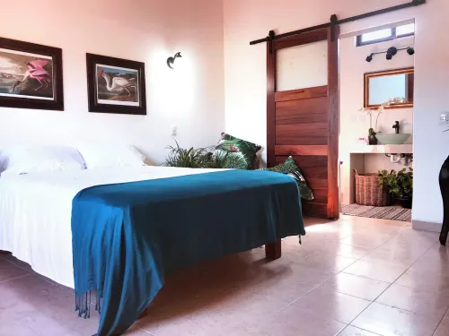 Chic room in plant filled boutique hotel near beach and plaza in Lo de Marcos