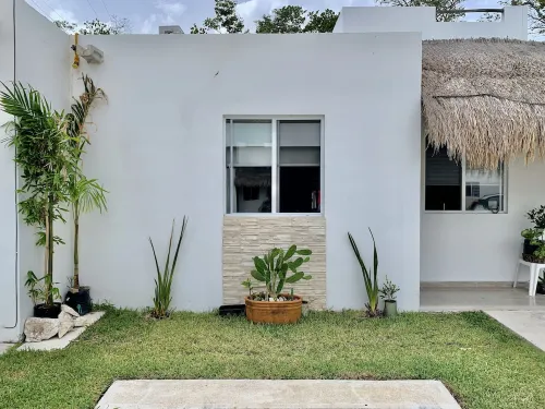 Beautiful house situated between the jungle and the sea- Pool/Bikes