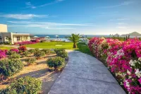 Fall Savings!! Ocean View w/Private Rooftop Villa & 5Min /Downtown