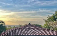 Ocean view Casa Conchal tropical setting surrounded by wildlife 4 min to beach