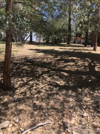 Cozy Cabin Vibes with Fireplace & Hot Tub
