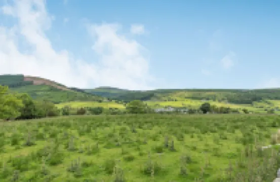 3 Tyn Y Mynydd