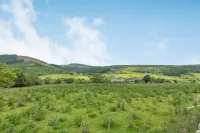 3 Tyn Y Mynydd Hotels in Ysbyty Ifan