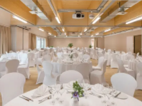 Hotel Alex Business & Spa Hotels in Naters