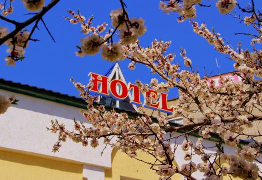 3. 빅토리아 호텔 ..