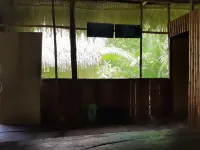 Inti Amazon Lodge - Lupuna Zona 2 - Ramah Hewan Peliharaan