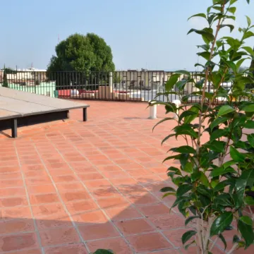Hotel del Capitán de Puebla - Vitrales