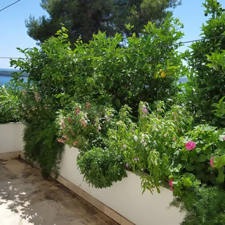Apartments and Rooms Rogosic