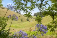 Raglan Country Lodge Hotels in Raglan