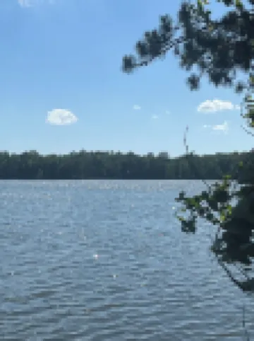 Peaceful 3-bedroom cottage on private Grass Lake.