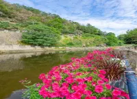 阿登高地拉羅什中心附近的小屋 - 民宿