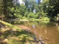 Riverfront! Private, short walk to town