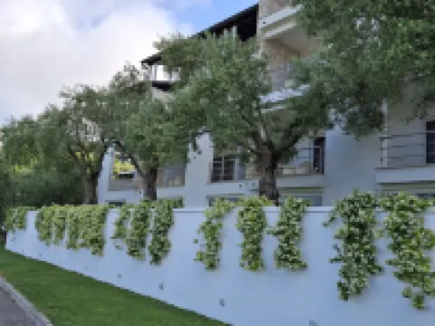 Hotel Villa Annette Hotels in Rabac