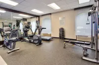多佛智選假日套房酒店 - 健身室/gym room