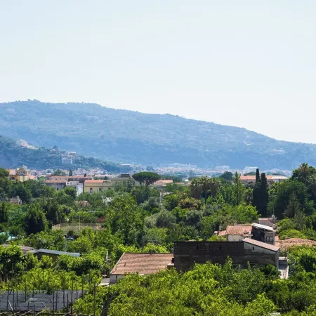 Limoncello&Nocillo Apartments - de Vivo Realty Meta di Sorrento