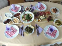Eraslan Tatilkoyu Hotels in Hisareyn Merkez