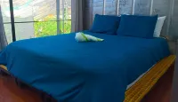 Pupa House