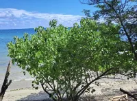 Cozy Studio by the Beach Hotels in 