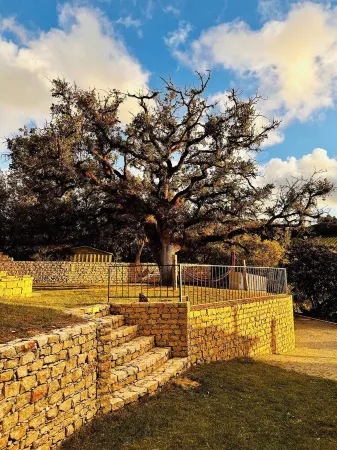 Quinta da Boa Vida - Master Villa