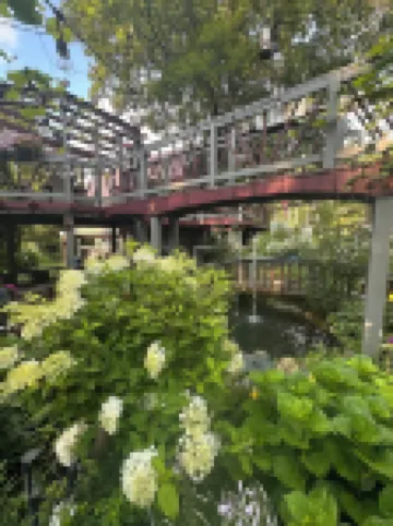 Tree house  lots birds  great location . ..... lots to do all summer long ......