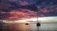An unusual night on a sailboat Hotels in Afaahiti