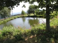 Calm and serenity, a feast for the eyes Hotels in Lachamp-Raphael