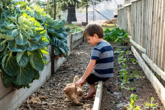 Farm fun for the family