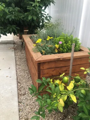 Charming, 3-bedroom house in Whittier with WiFi, AC near restaurants and hiking Hotels near Trader Joe's