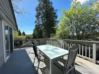 Newly renovated 3BD 2 Bath, Spacious with lots of light!