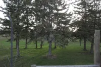 Peaceful & Cozy 3 Bedroom House In Newcastle, ON Hotels in Clarington