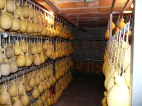 Peaceful Hilltop Escape Hotels in 