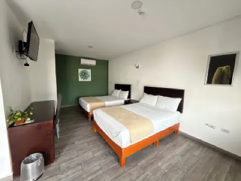 Noas Hotel Hotels in 