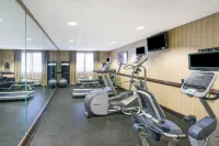 Holiday Inn Express & Suites GADSDEN W-NEAR ATTALLA by IHG - Gym