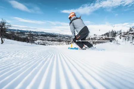 Rauland Feriesenter Отели в г. Rauland