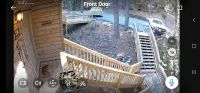 The Bear Den - СПА