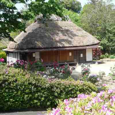 ホテル COCOLAND Hotel Exterior