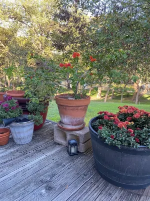 River Front! Great for Large Family Gatherings! Hotels in McQueeney