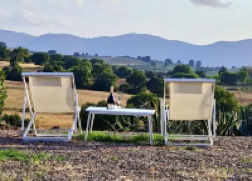 Agriturismo Lo Scalandrino