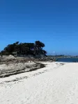 TI AR Milin Entre Mer et Forêt au Dossen à Santec Proximité Roscoff île de Batz