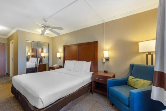 Comfort Inn & Suites Ocean Shores Hotels in 