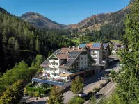 Hotel Erica Hotels in Tesero
