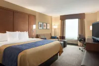 Comfort Inn & Suites Presidential - bar