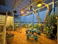 Jungla Urbana, Bnb Hotels in San Jose