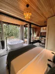 高維度山區小屋之花