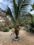 Tropicana Kendwa Beach Hotel Hôtels à : 