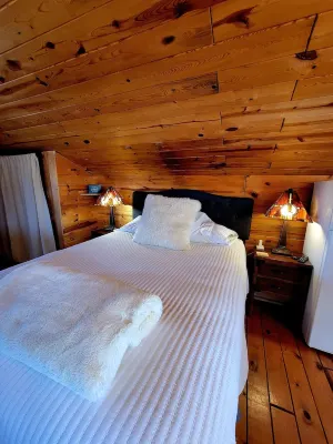 Beautiful & Comfy CABIN Retreat with abundant wildlife, WIFI and AC