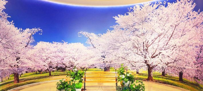 Hotel the Manhattan Hoteles en Chiba