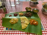 Balkatmane Heritage Spa Resort Udupi - balcony